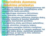 Informacinis saugumas 5 puslapis