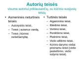Intelektinė nuosavybė komunikacijoje 13 puslapis