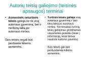 Intelektinė nuosavybė komunikacijoje 14 puslapis