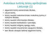 Intelektinė nuosavybė komunikacijoje 17 puslapis