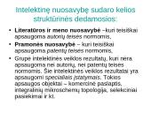 Intelektinė nuosavybė komunikacijoje 6 puslapis