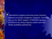 Internet Explorer. Pagrindiniai naršymo veiksmai 2 puslapis