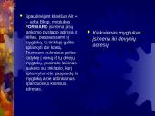 Internet Explorer. Pagrindiniai naršymo veiksmai 7 puslapis