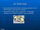 Įdomūs faktai apie internetą 4 puslapis