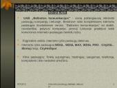 Interneto paslaugų tiekėjai Lietuvoje 9 puslapis