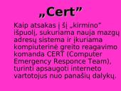 Interneto raida 14 puslapis