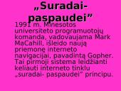 Interneto raida 16 puslapis