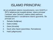 Kas yra Islamas?  5 puslapis