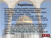 Islamas pasaulyje ir Lietuvoje 11 puslapis