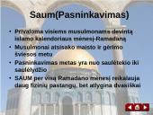 Islamas pasaulyje ir Lietuvoje 20 puslapis