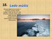 Žodžiai iš L raidės 18 puslapis