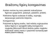 Išnašos. Iliustracijų numeravimas. Figūrų braižymas ir spalvinimas 14 puslapis