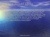 Išorinė paieška 7 puslapis