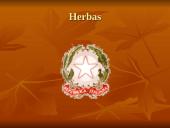 Italija bei jos charakteristika 11 puslapis