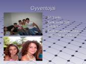 Italija bei jos charakteristika 6 puslapis