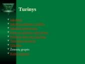 Jakobinų diktatūra 2 puslapis