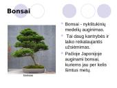 Trumpai apie Japoniją 11 puslapis