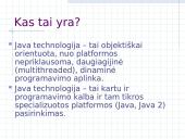 Java technologija 3 puslapis