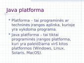 Java technologija 8 puslapis