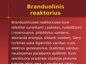 Jonizuojančios spinduliuotės 16 puslapis