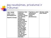 Jpg ir Bmp formatų skirtumai 4 puslapis