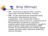 Jpg ir Bmp formatų skirtumai 7 puslapis