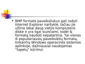 Jpg ir Bmp formatų skirtumai 8 puslapis