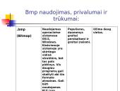 Jpg ir Bmp formatų skirtumai 9 puslapis