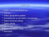 Jungtinų Amerikos Valstijų geografija, transportas, istorija, gamta bei gyventojai 2 puslapis