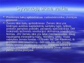 Jungtinų Amerikos Valstijų geografija, transportas, istorija, gamta bei gyventojai 11 puslapis