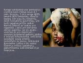 Juodoji Afrika 14 puslapis