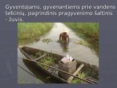 Juodoji Afrika 6 puslapis