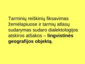 Kalbos tipai 11 puslapis