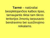 Kalbos tipai 12 puslapis