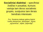 Kalbos tipai 19 puslapis
