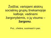 Kalbos tipai 20 puslapis