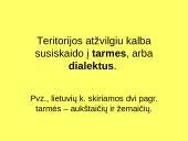 Kalbos tipai 3 puslapis