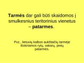 Kalbos tipai 4 puslapis