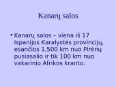 Kanarų salos 2 puslapis