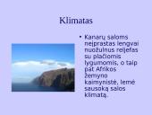 Kanarų salos 12 puslapis