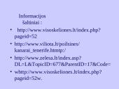 Kanarų salos 16 puslapis