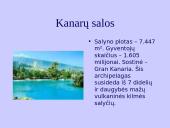 Kanarų salos 3 puslapis