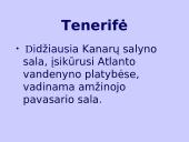 Kanarų salos 8 puslapis