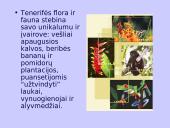 Kanarų salos 10 puslapis