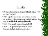 Kaulų čiulpų transplantacija 2 puslapis