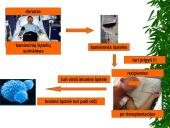 Kaulų čiulpų transplantacija 11 puslapis