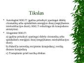 Kaulų čiulpų transplantacija 9 puslapis