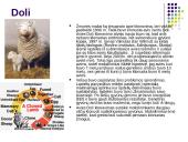 Klonavimas ir genetinė ateitis 5 puslapis