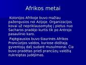 Kolonijinės sistemos suirimas 8 puslapis