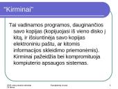 Kompiuterių virusai 14 puslapis